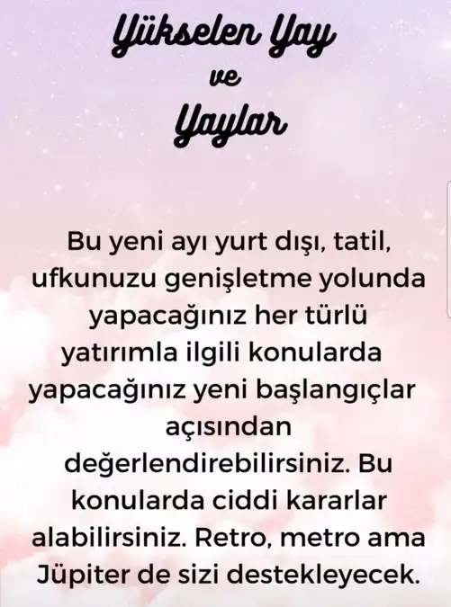 aslan yeniay1 (10).webp