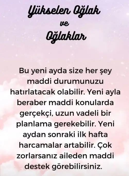 aslan yeniay1 (11).webp