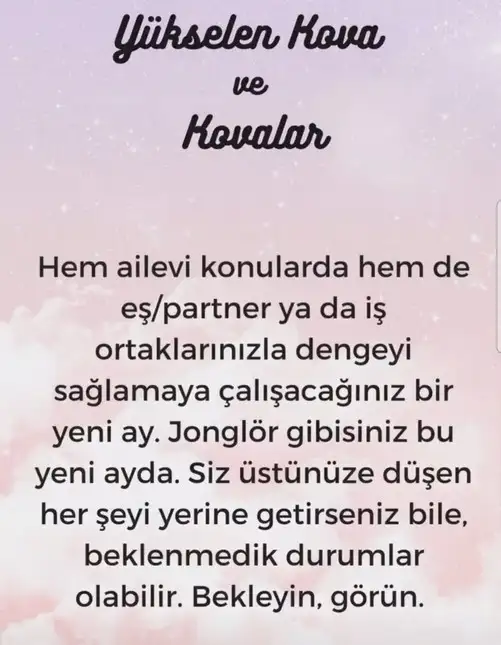 aslan yeniay1 (12).webp