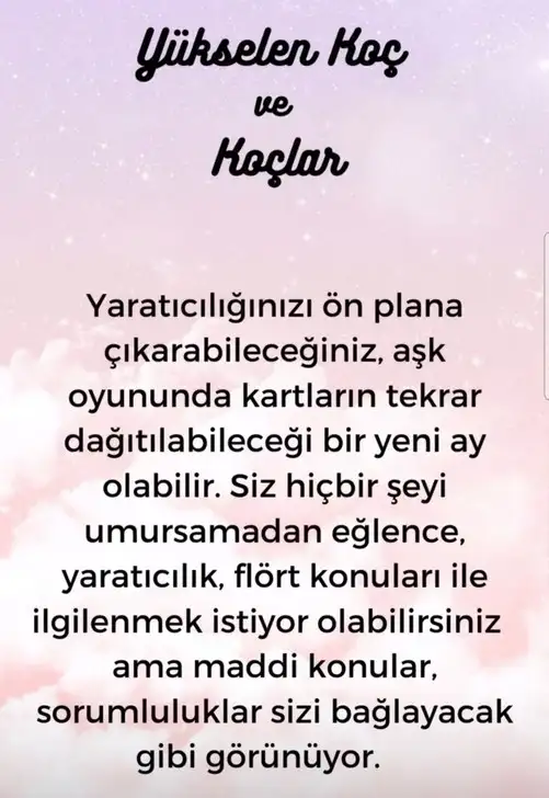 aslan yeniay1 (2).webp