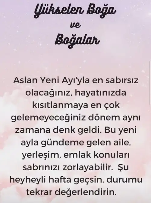 aslan yeniay1 (3).webp