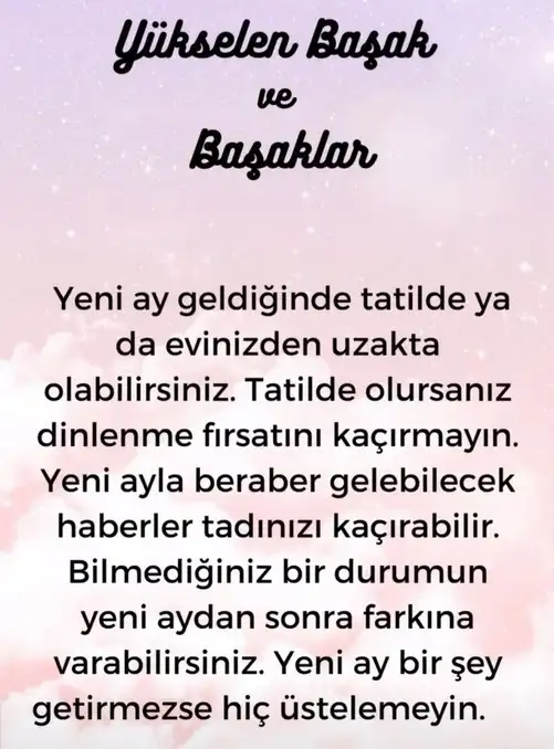 aslan yeniay1 (7).webp