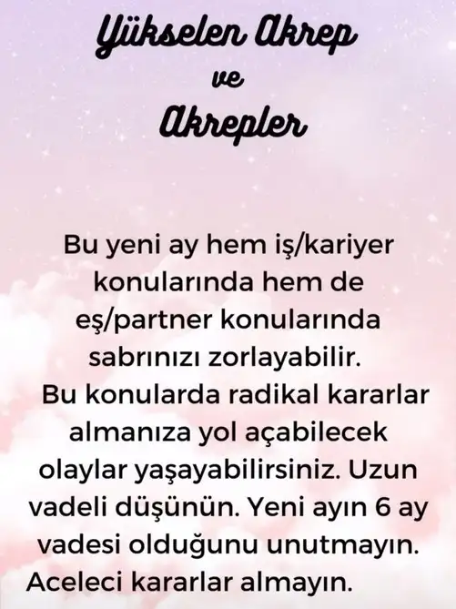aslan yeniay1 (9).webp