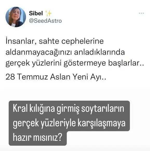 aslan yeniayı1.webp