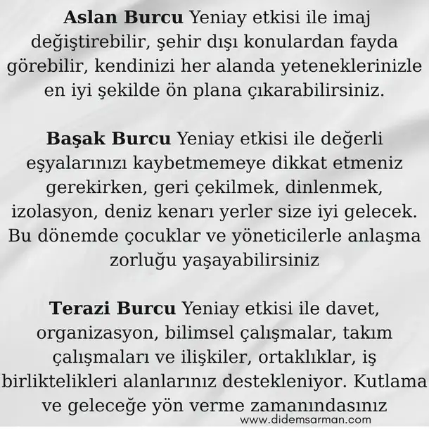 aslan yeniayı19 (3).webp