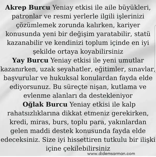 aslan yeniayı19 (4).webp
