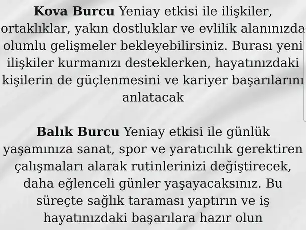 aslan yeniayı19 (5).webp