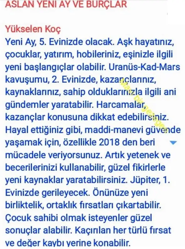aslan yeniayı21 (1).webp