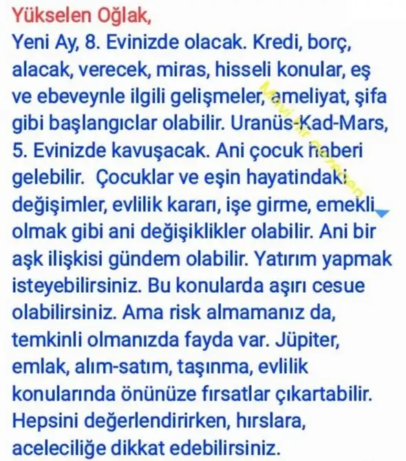 aslan yeniayı21 (10).webp