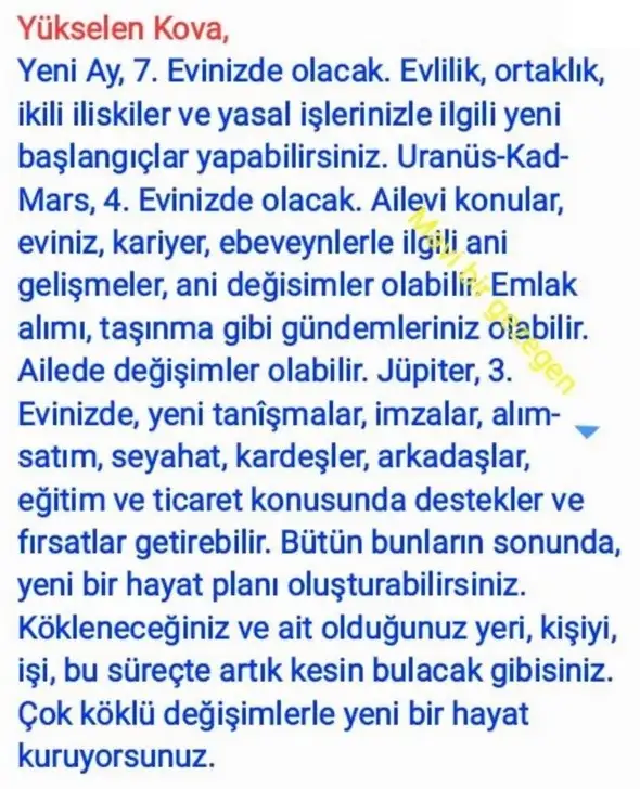 aslan yeniayı21 (11).webp