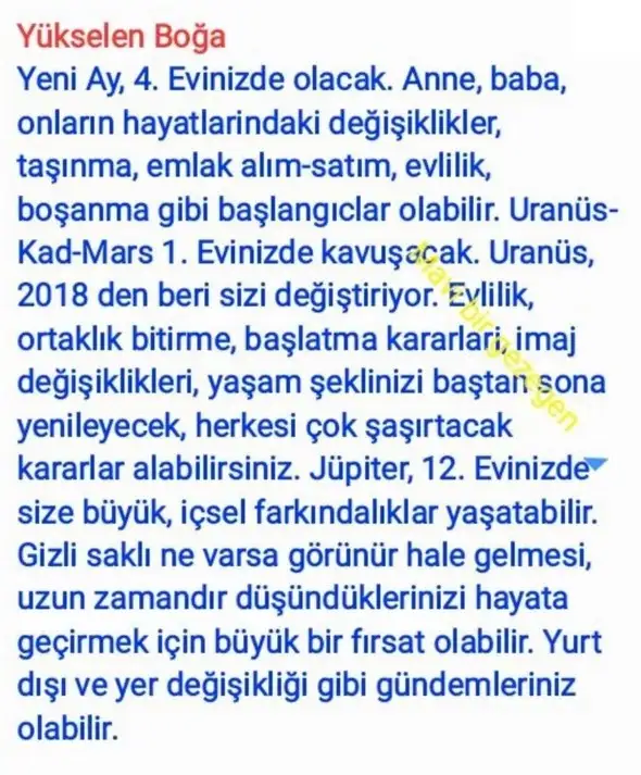 aslan yeniayı21 (2).webp