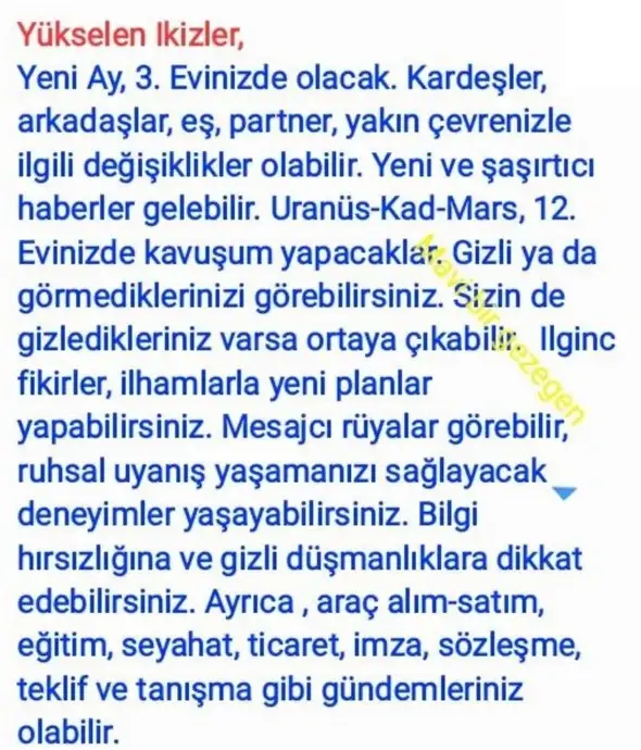 aslan yeniayı21 (3).webp