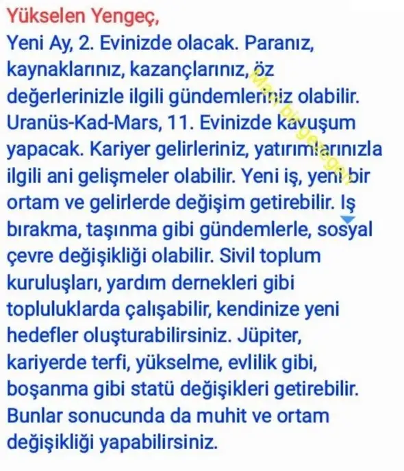 aslan yeniayı21 (4).webp