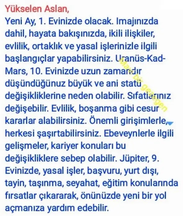 aslan yeniayı21 (5).webp