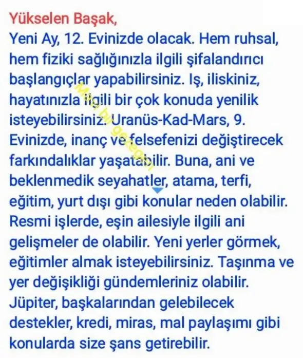 aslan yeniayı21 (6).webp