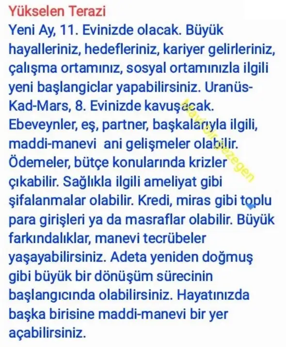 aslan yeniayı21 (7).webp