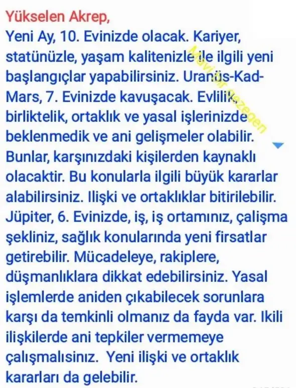 aslan yeniayı21 (8).webp