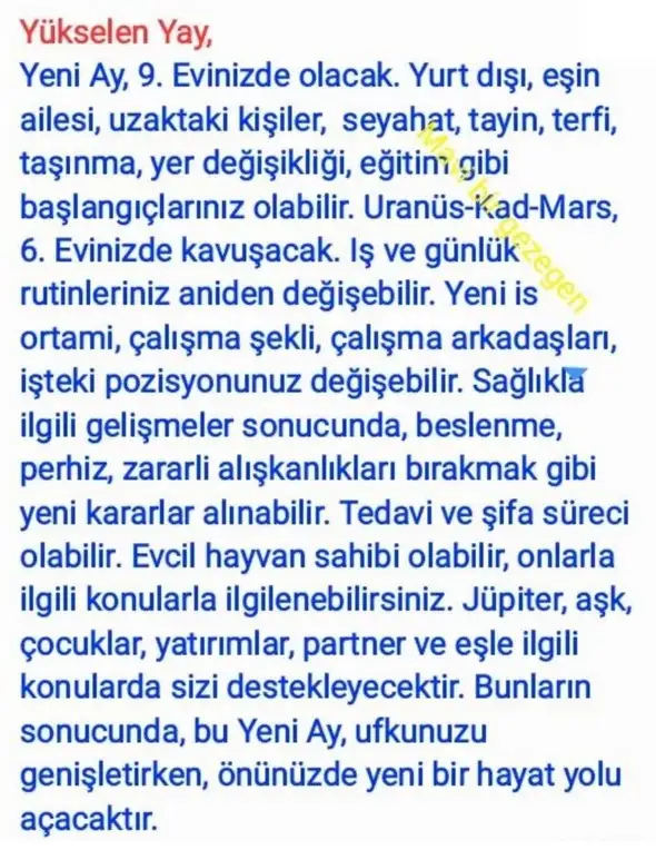 aslan yeniayı21 (9).webp