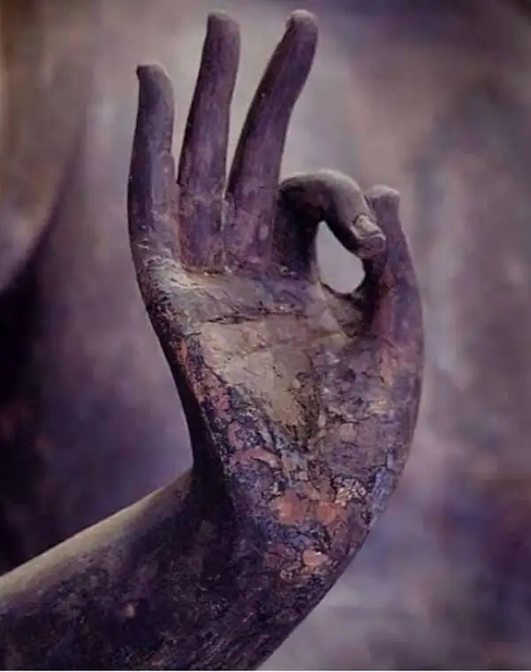 aslan yeniayı56 (1).webp