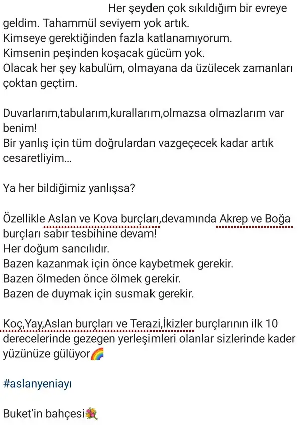 aslan yeniayı56 (2).webp