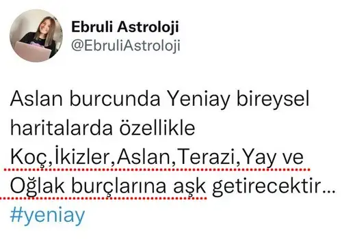 aslan yeniayıo22.webp