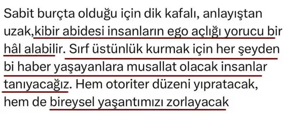 aslan0 (3).webp