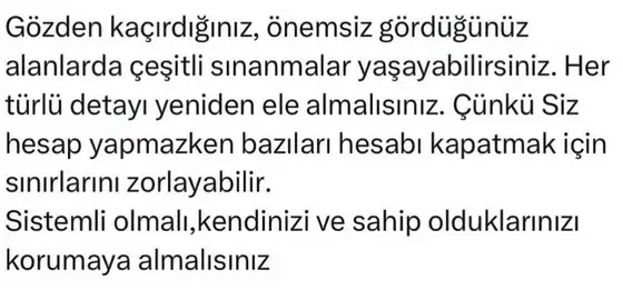 aslan0 (4).webp