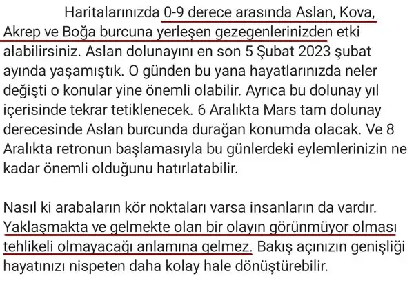aslan0 (6).webp