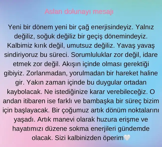 aslan1 (1).webp