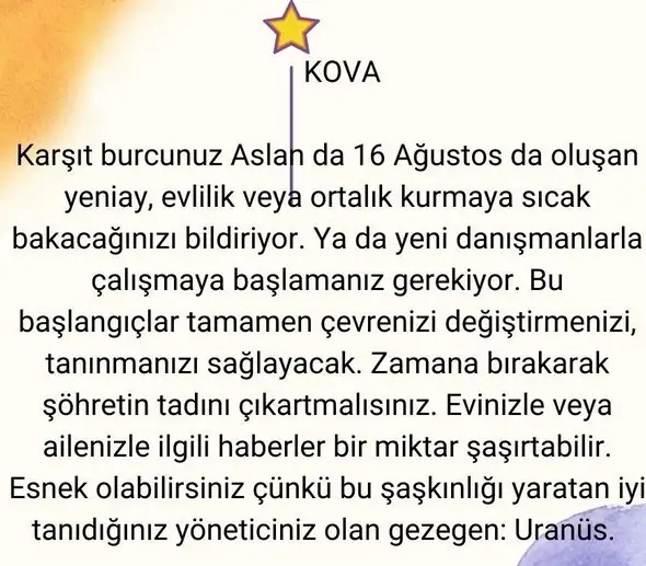 aslan1 (13).webp