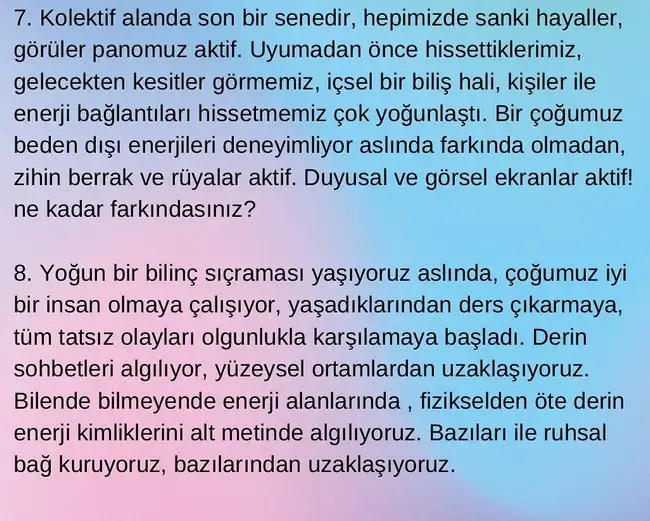 aslan1 (2).webp