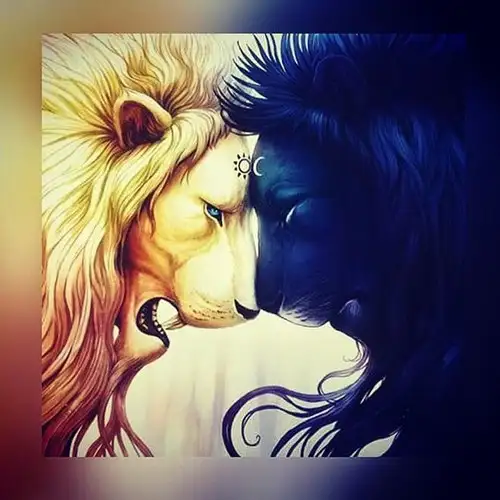 aslan1 (3).webp