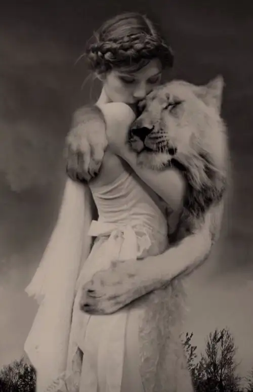 aslan1 (3).webp
