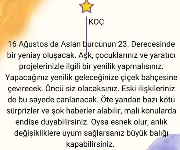aslan1 (3).webp