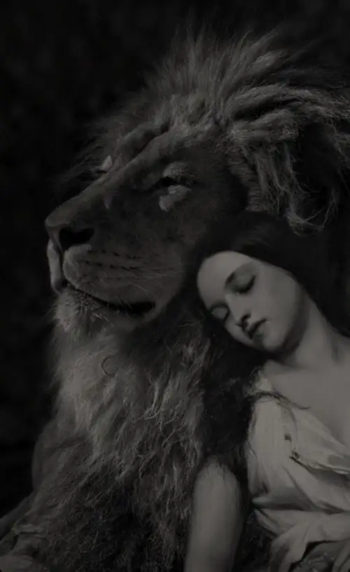 aslan1 (4).webp