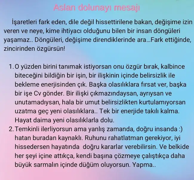 aslan1 (5).webp