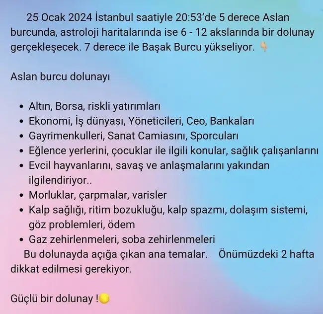 aslan1 (7).webp