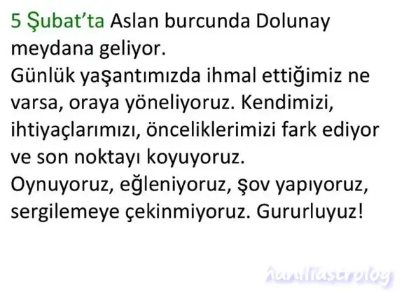 aslan11.webp