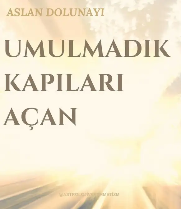 aslan16 (1).webp