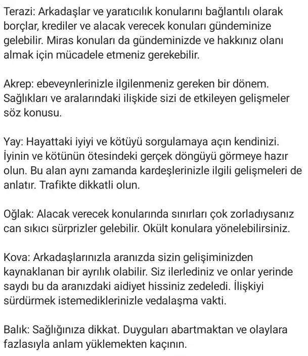 aslan16 (5).webp