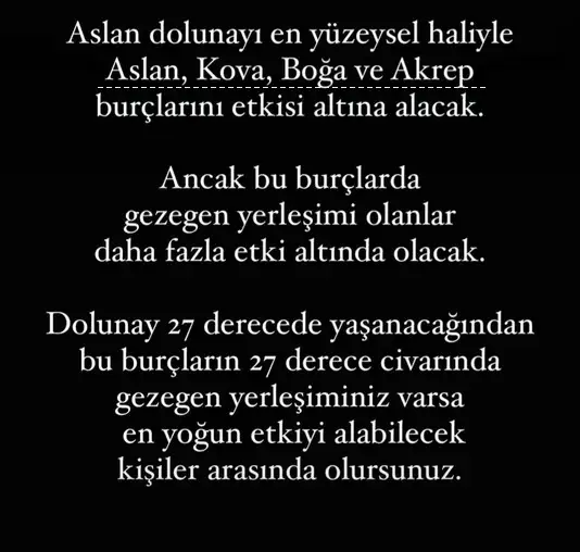 aslan18 (1).webp