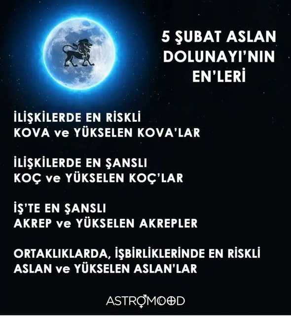 aslan18 (1).webp