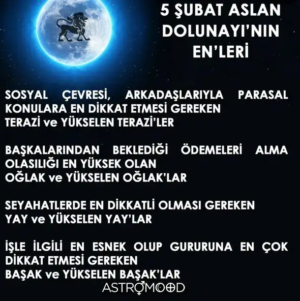 aslan18 (2).webp