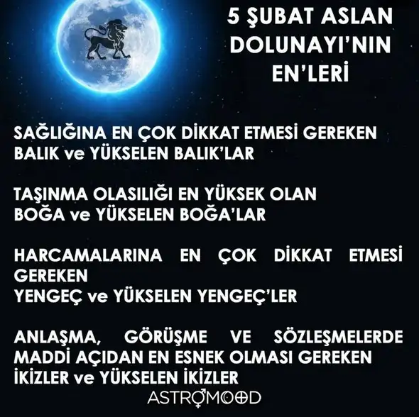 aslan18 (3).webp