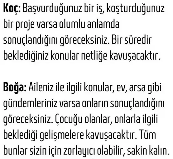 aslan19 (2).webp