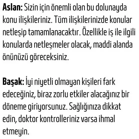 aslan19 (4).webp