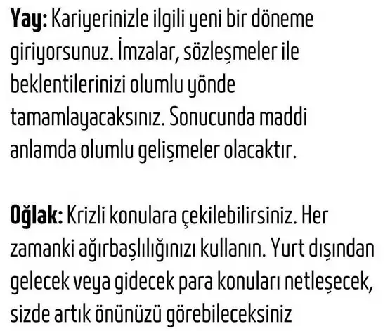 aslan19 (6).webp