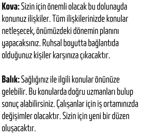 aslan19 (7).webp
