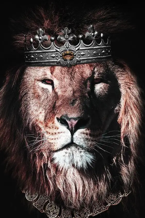 aslan1f.webp