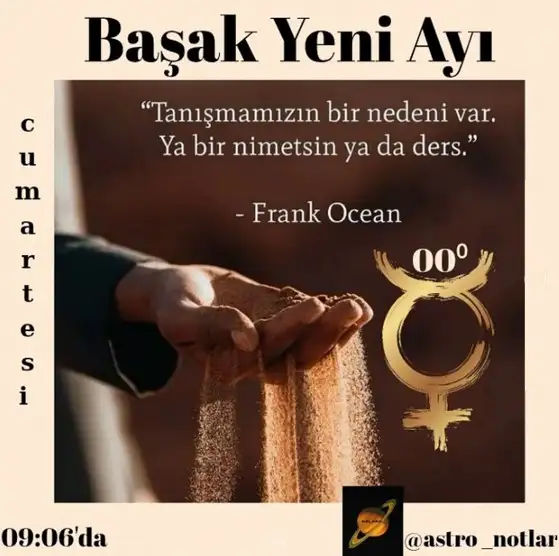 aslan1f.webp